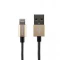 FIRST CHAMPION NYLON 1.2M LIGHTNING TO USB CABLE